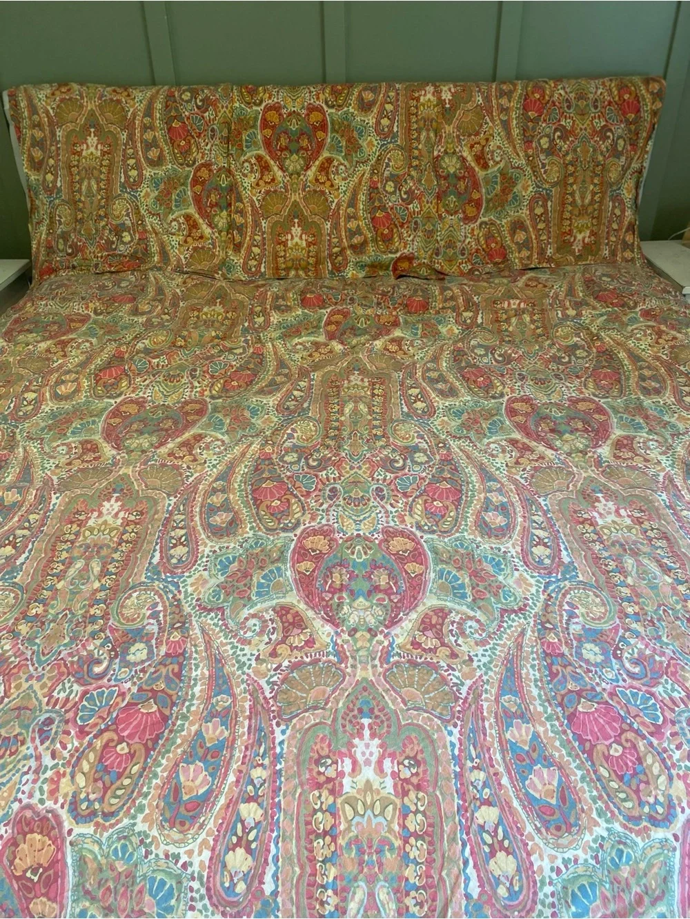 Pottery Barn Warm Paisley King Duvet + 3 Euro Shams